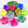 Popular Classic Frangipani Flower Hair Pick